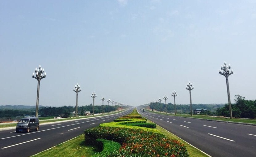 四川成都天府大道——"玉兰"灯